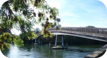 Bridge 1